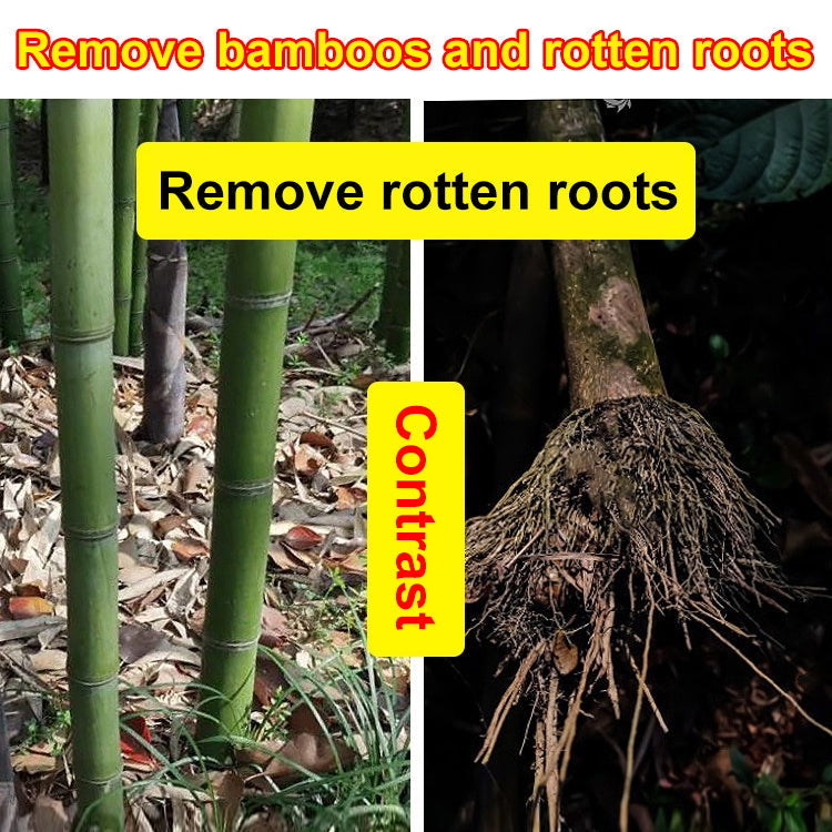 【Hexazinone herbicide】Doesn't Harm Soil, No Tools Needed！