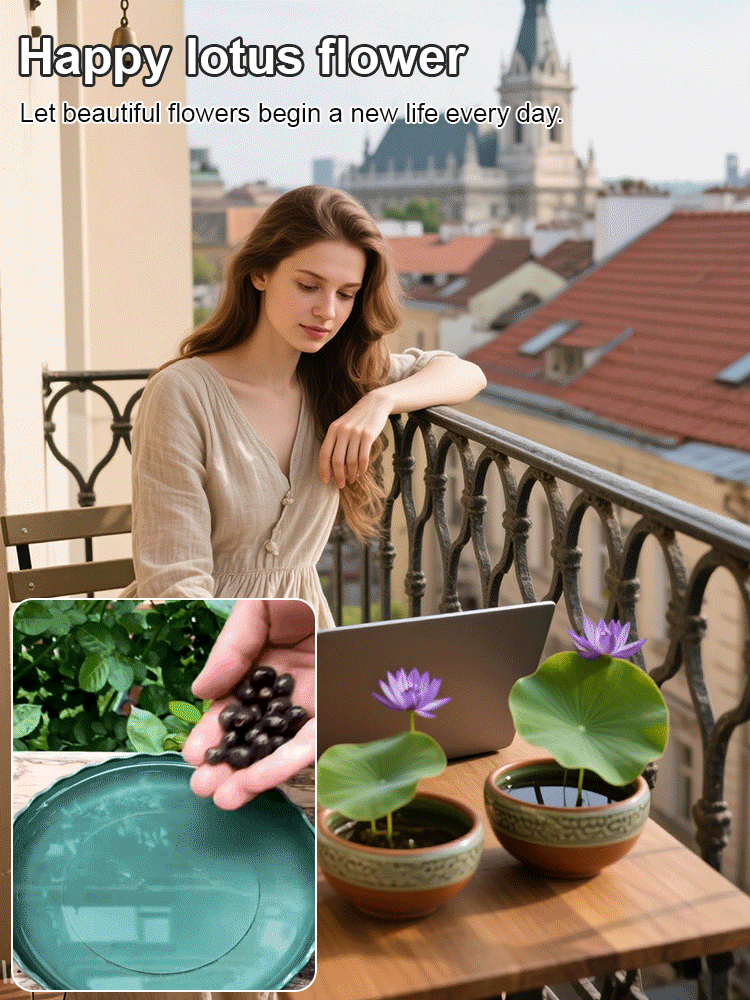 🔥【Fortune-bringing and fortune-bringing】Ornamental water-cultured lotus