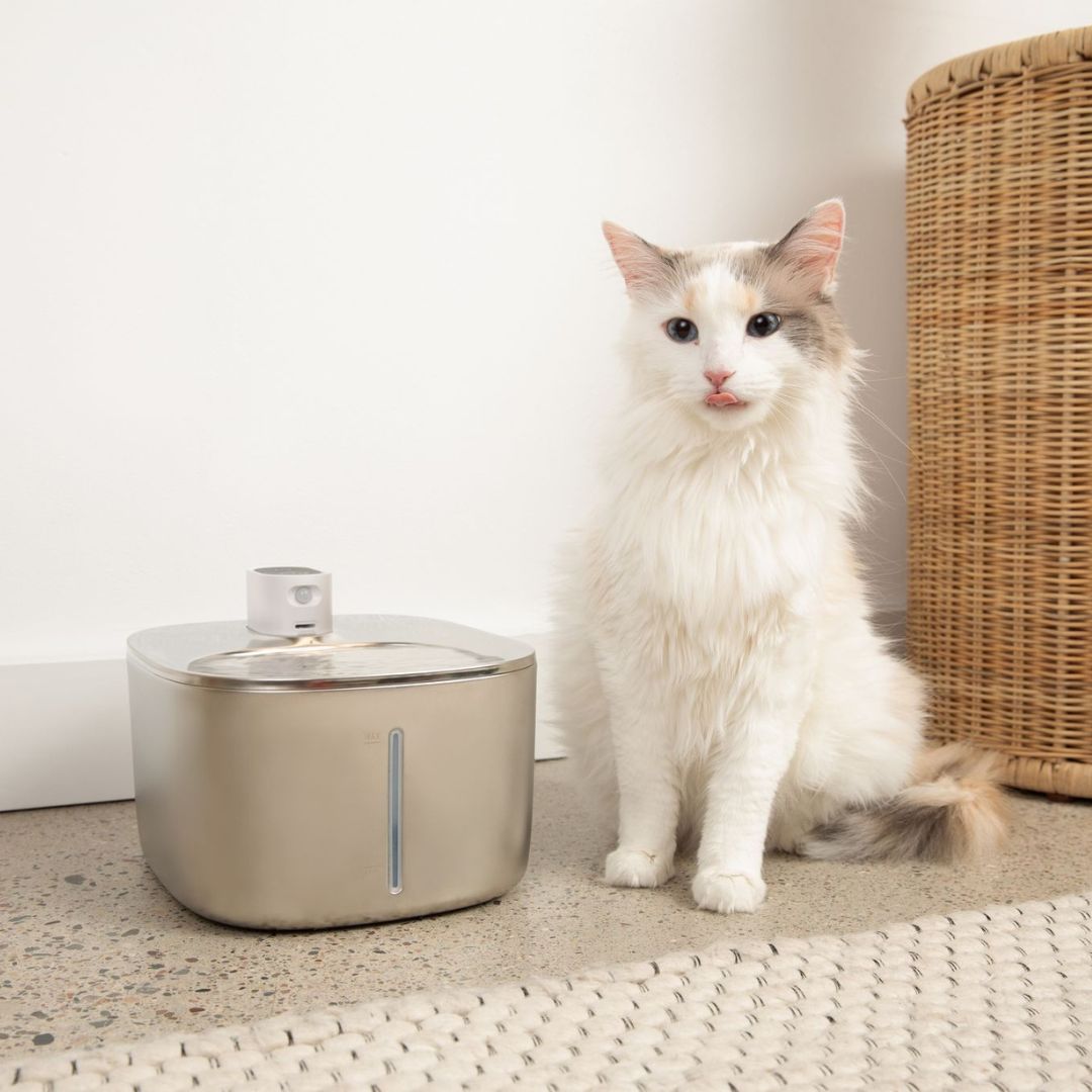 Cat Drinking Fountain - Automatic Stainless Steel Pet Water Dispenser with Ultra Quiet Pump