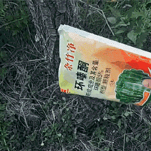 【Hexazinone herbicide】Doesn't Harm Soil, No Tools Needed！