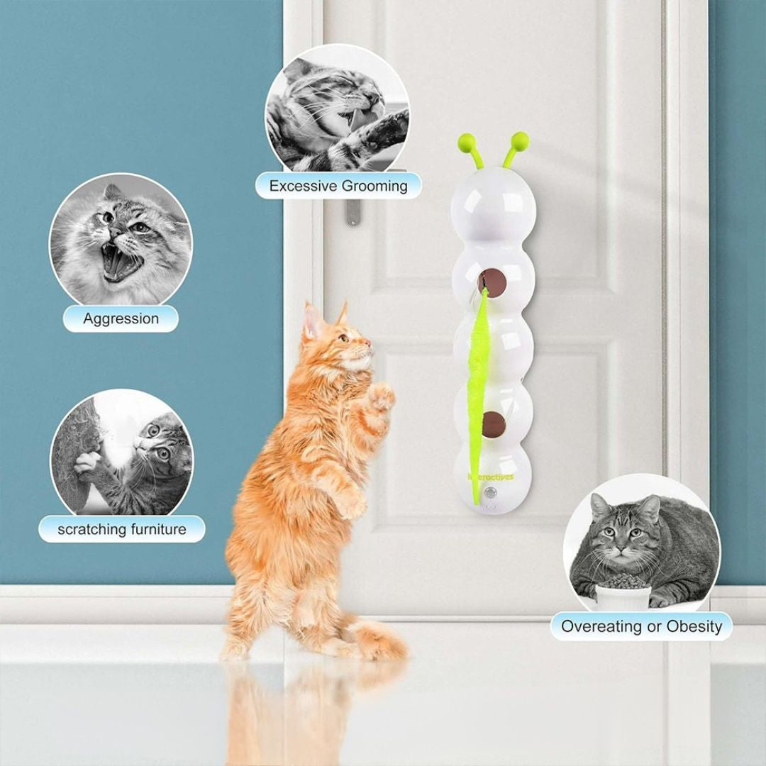 Smart Motion Cat Toy