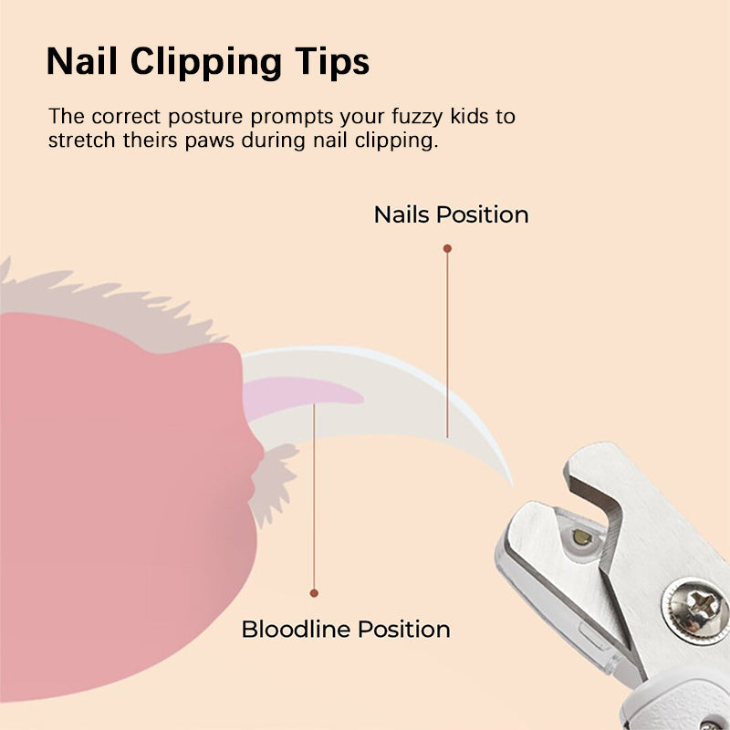 2-in-1 Silent Nail Clipper and Grinder for Dogs – Quiet, Rechargeable & Gentle