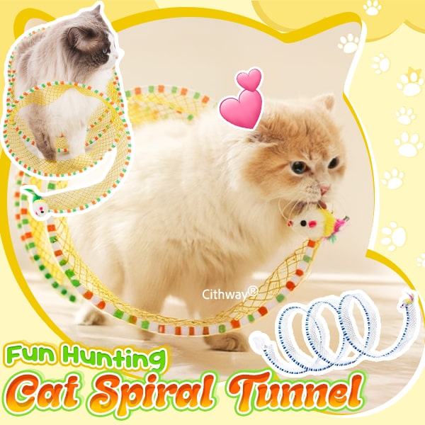 Self-play Cat Hunting Spiral Tunnel Toy