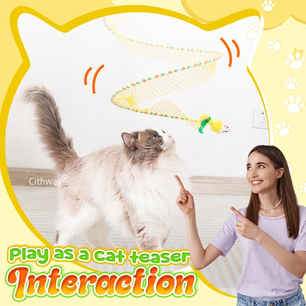 Self-play Cat Hunting Spiral Tunnel Toy