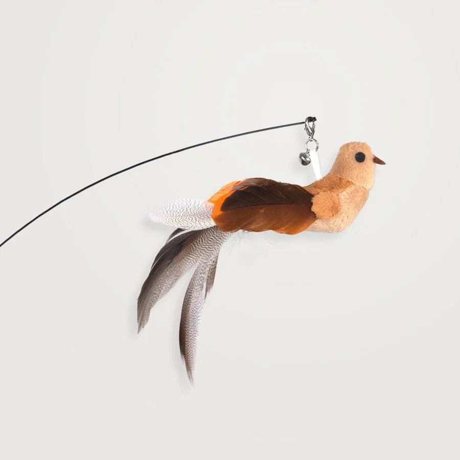 🐱The Hunting Bow - Activates your cat in no time