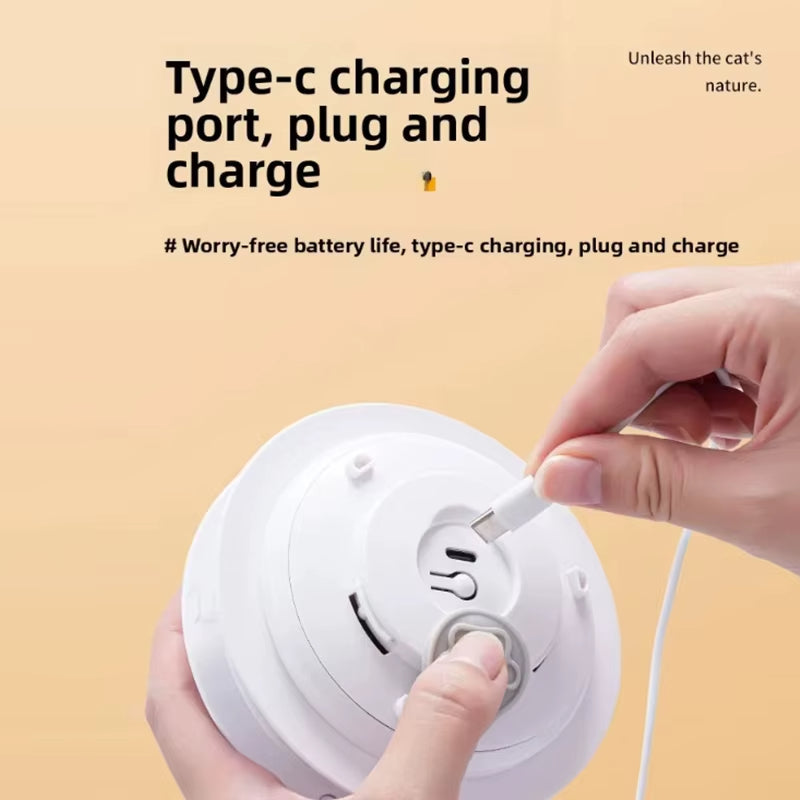 Electric Moving Feather Hideaway Cat Toy