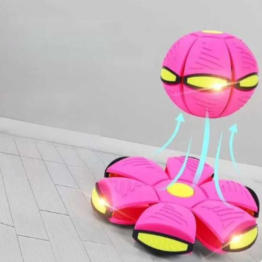 Dog Disc Ball Pet Toy