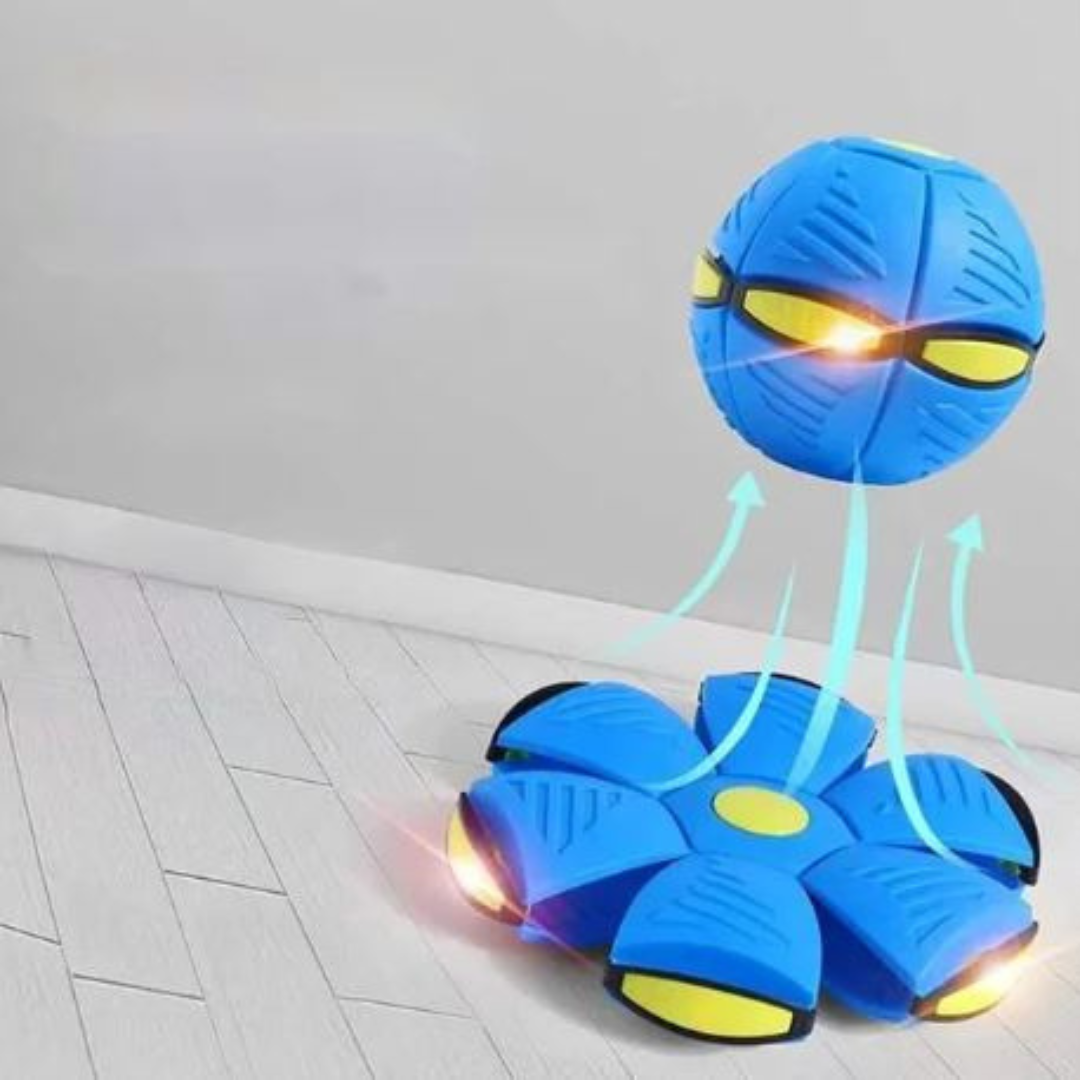 Dog Disc Ball Pet Toy