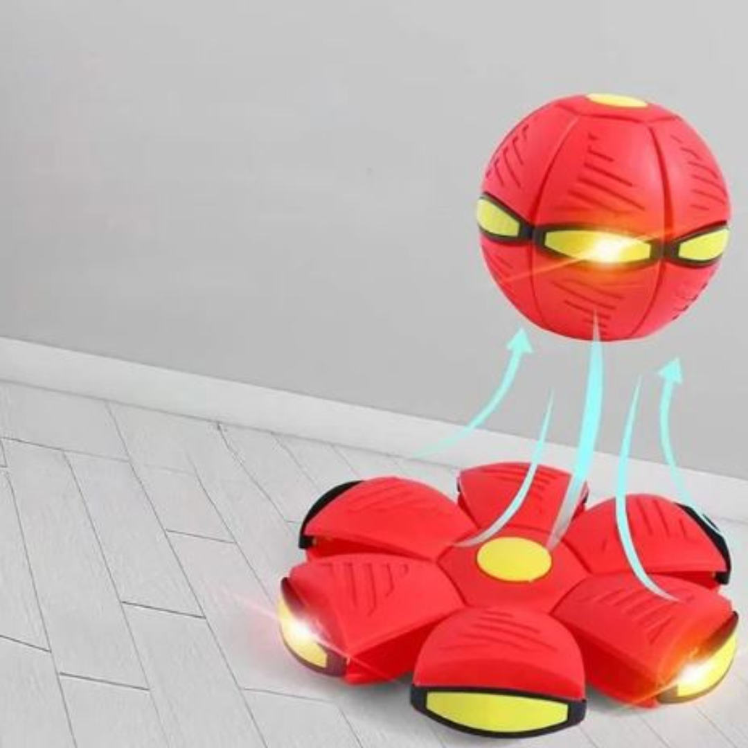 Dog Disc Ball Pet Toy