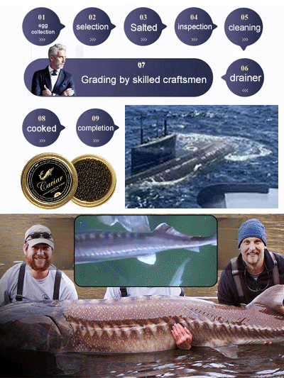 Unleash Gourmet Luxury: Discover Sturgeon Caviar Perfection!