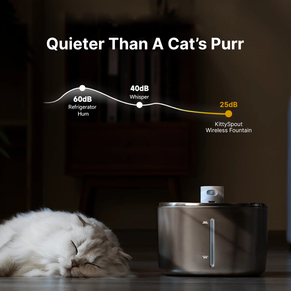 Cat Drinking Fountain - Automatic Stainless Steel Pet Water Dispenser with Ultra Quiet Pump