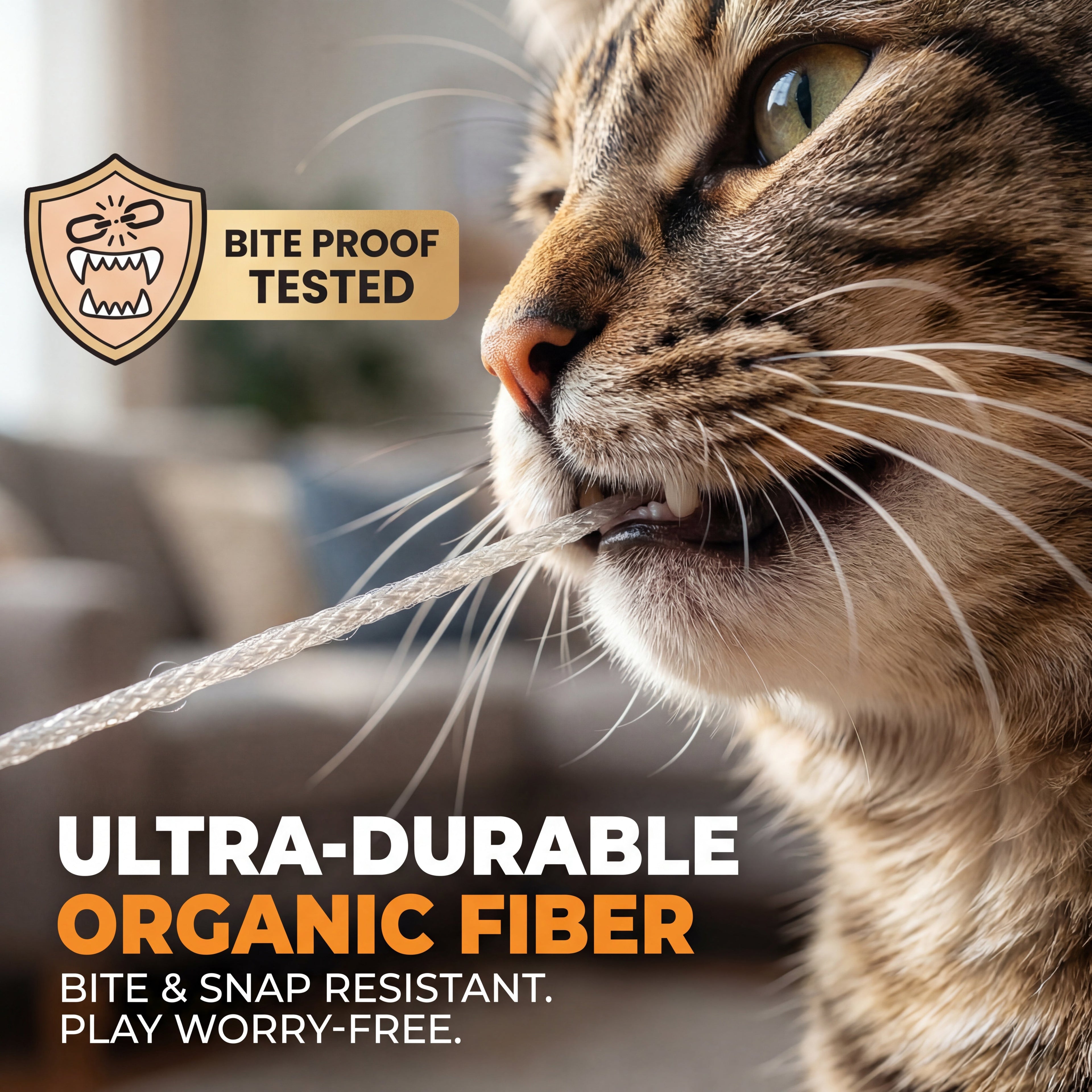 Electric Fishing Style Cat Teaser Toy